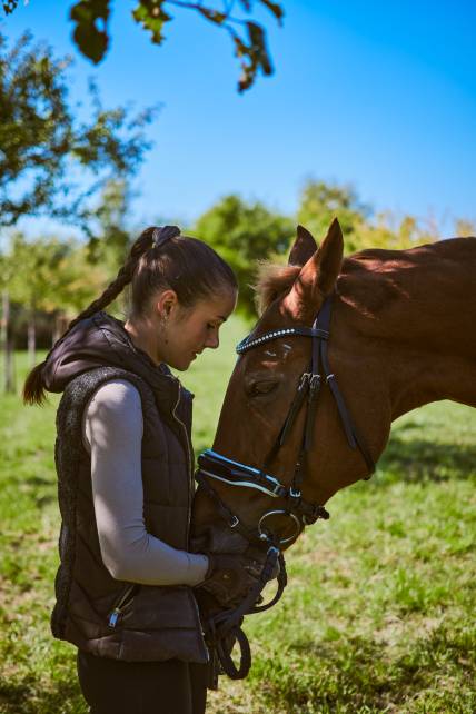 Anna Horse Joy Hello